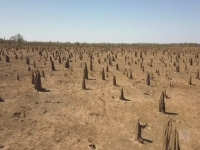 Outback Ringer S01E08 480p x264-mSD EZTV Outback Ringer S01E08 480p x264-mSD EZTV