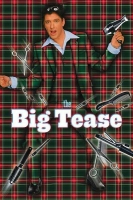 The Big Tease (1999) (DVD)[TGx]