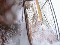 Deadliest Catch S19E01 480p x264-mSD EZTV