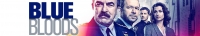 Blue Bloods S10E06 720p WEB H264-AMCON[TGx]