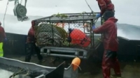Deadliest Catch S15E11 WEB x264-TBS [eztv]