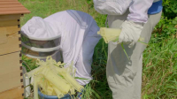 The Incredible Pol Farm S01E06 XviD-AFG EZTV The Incredible Pol Farm S01E06 XviD-AFG EZTV