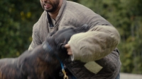 Canine Intervention S01E03 1080p WEB h264-STOUT EZTV