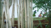 Handmade in Africa S01E01 XviD-AFG EZTV Handmade in Africa S01E01 XviD-AFG EZTV