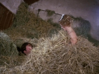 Keep It Up Downstairs (1976) [720p] [BluRay] [YTS] [YIFY]