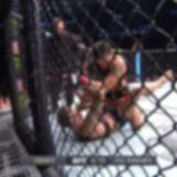 UFC 245 PPV 1080p WEB h264-VERUM[TGx]