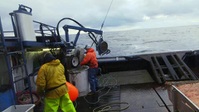 Deadliest Catch S19E14 XviD-AFG EZTV Deadliest Catch S19E14 XviD-AFG EZTV
