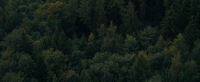 Redwood 2017 720p AMZN WEBRip DDP5 1 x264-NTG