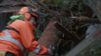Timber Titans S01E01 1080p HEVC x265-MeGusta EZTV Timber Titans S01E01 1080p HEVC x265-MeGusta EZTV
