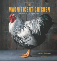 [ FreeCourseWeb ] The Magnificent Chicken- Portraits of the Fairest Fowl