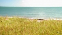 Island Hunters S03E08 Taking Flight Over Queensland WEB x264-KOMPOST [eztv]