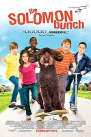 The Solomon Bunch (2013) 720p WEBRip X264 Solar