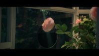 Brassic S04E05 MULTi 1080p WEB H264-PROPJOE EZTV