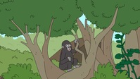 Adventure Beast S01E12 XviD-AFG EZTV Adventure Beast S01E12 XviD-AFG EZTV