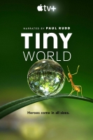 Tiny World WEB-DL 1080p H264 AAC-ztorrenter