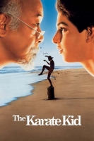 The Kid 2019 BDRip XviD AC3-EVO[TGx]