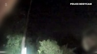 All New Traffic Cops S12E09 XviD-AFG EZTV All New Traffic Cops S12E09 XviD-AFG EZTV