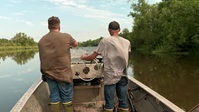 Swamp People S14E05 XviD-AFG EZTV