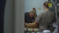 Outback Vet S02E06 720p HEVC x265-MeGusta EZTV