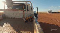 Outback Farm S01E01 XviD-AFG EZTV Outback Farm S01E01 XviD-AFG EZTV