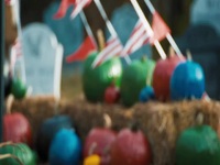 Outrageous Pumpkins S03E03 480p x264-mSD EZTV Outrageous Pumpkins S03E03 480p x264-mSD EZTV