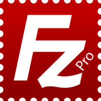 FileZilla.Pro.v3.48.0.Multi-[WEB]