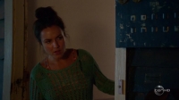Offspring S07E02 HDTV x264-FQM[eztv]