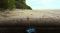 Turtle Odyssey (2019) [BluRay] [1080p] [YTS] [YIFY]