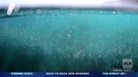Forensic Files II S02E03 The Rise XviD-AFG EZTV