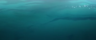 Primal S02E01 720p HEVC x265-MeGusta EZTV Primal S02E01 720p HEVC x265-MeGusta EZTV