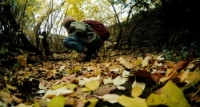 Antboy (2013) [WEBRip] [1080p] [YTS] [YIFY]