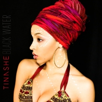 Tinashe - Black Water[2018][Full Album][EDM RG][pradyutvam][320 KBPS]