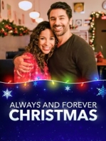 Always and Forever Christmas 2019 HDTV x264 LifeTime-Dbaum mp4