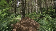 Nature S41E05 WILDHEART 1080p HEVC x265-MeGusta EZTV Nature S41E05 WILDHEART 1080p HEVC x265-MeGusta EZTV