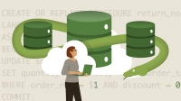 Lynda | Advanced Python: Working with Databases [FCO]