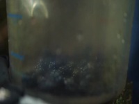 From Scratch S02E08 Dont Be So Shellfish 480p x264-mSD EZTV From Scratch S02E08 Dont Be So Shellfish 480p x264-mSD EZTV