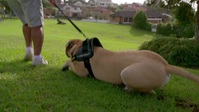 Barkley Manor S02E05 XviD-AFG EZTV Barkley Manor S02E05 XviD-AFG EZTV