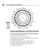 Bioinformatics For Dummies