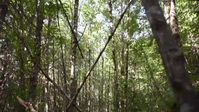 Expedition Bigfoot S03E06 XviD-AFG EZTV Expedition Bigfoot S03E06 XviD-AFG EZTV