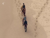 Made In Chelsea S17E09 480p x264-mSD [eztv]