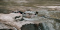 Walker S02E18 1080p HEVC x265-MeGusta EZTV