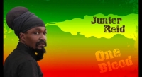 Junior Reid-This is Why im Hot-One Blood LIVE
