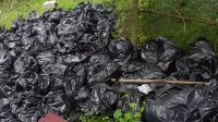 Hoarders S12E04 720p HEVC x265-MeGusta EZTV Hoarders S12E04 720p HEVC x265-MeGusta EZTV