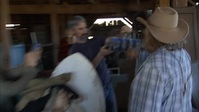 American Pickers S22E16 XviD-AFG EZTV