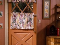 Family Matters S09E14 480p x264-mSD [eztv]