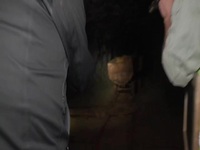 Expedition Unknown S11E01 480p x264-mSD EZTV