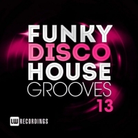 VA-Funky Disco House Grooves Vol 13- LWFDHG13 -WEB-2018-BF