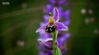 Countryfile S32E16 WEB H264-iPlayerTV [eztv]