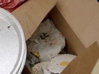 Hoarders S12E03 480p x264-mSD EZTV