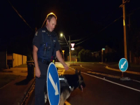 Dog Squad S13E06 480p x264-mSD EZTV
